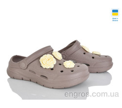 Кроксы Golden Lion